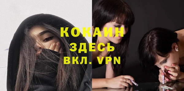 дурь Арсеньев