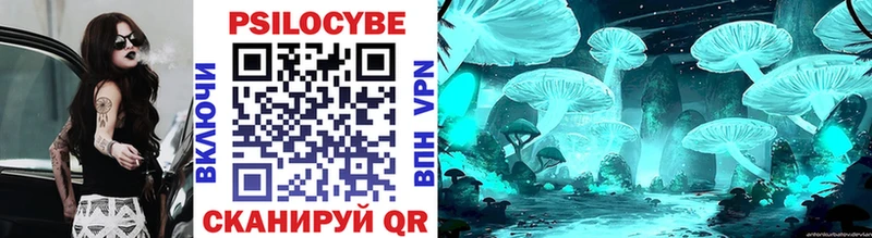 Псилоцибиновые грибы MAGIC MUSHROOMS  сайты даркнета официальный сайт  Бокситогорск 